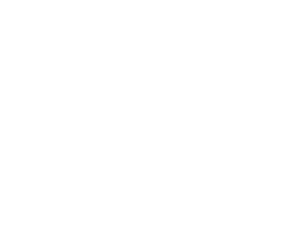 Fiznora Technologies